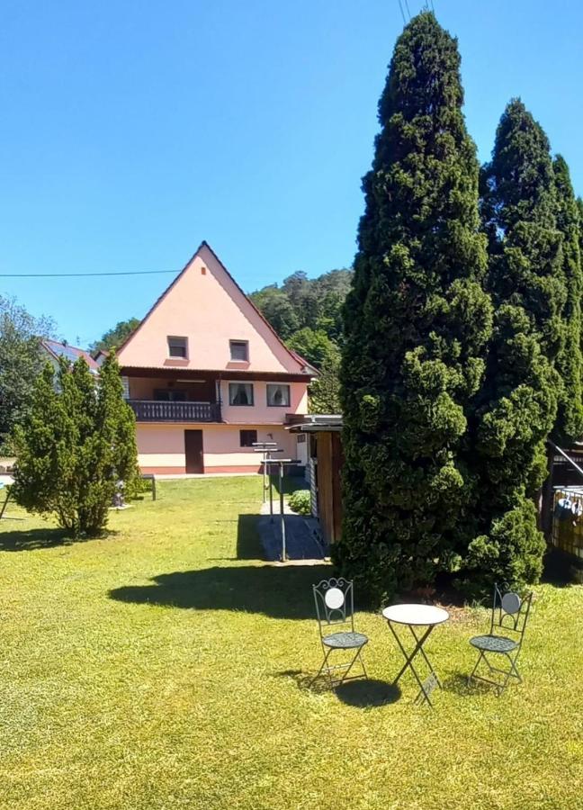 Ferienwohnung Tremmbach Salzwoog Extérieur photo